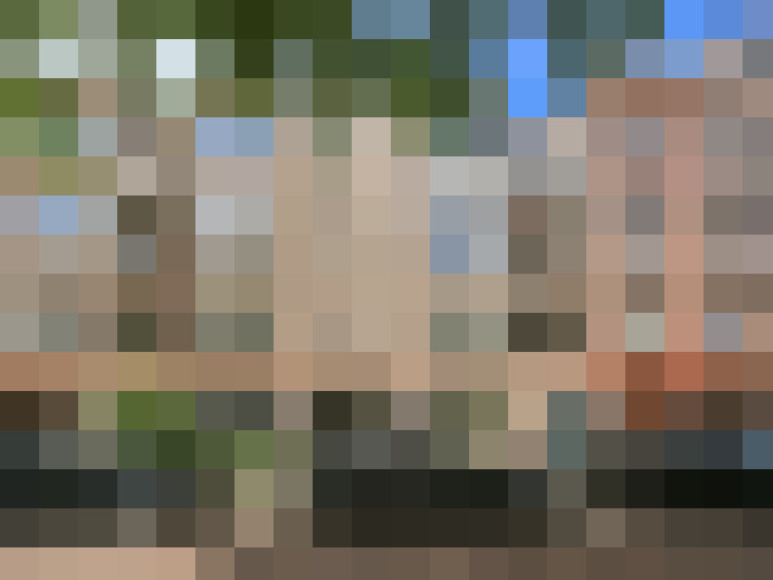 Image 46