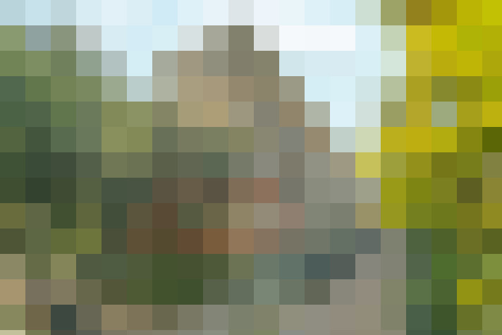 Image 28