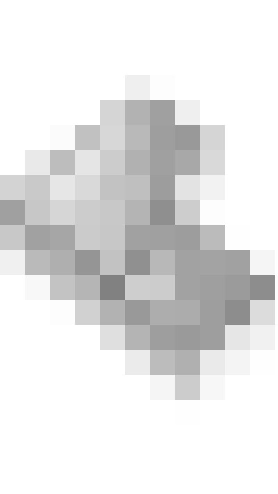 Image 26