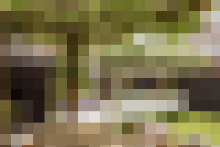 Image 16