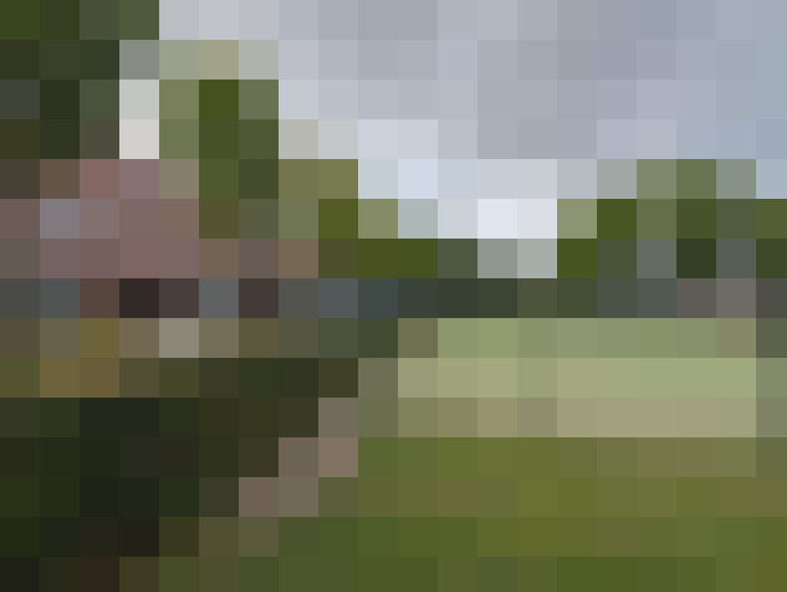 Image 55