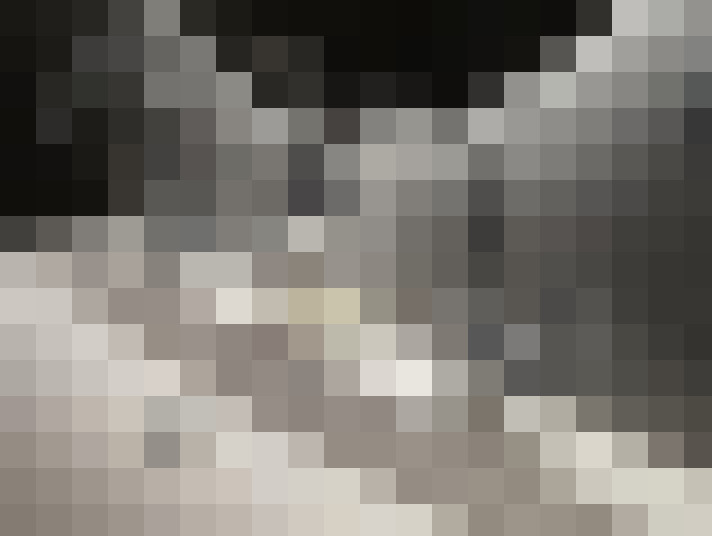  / #58