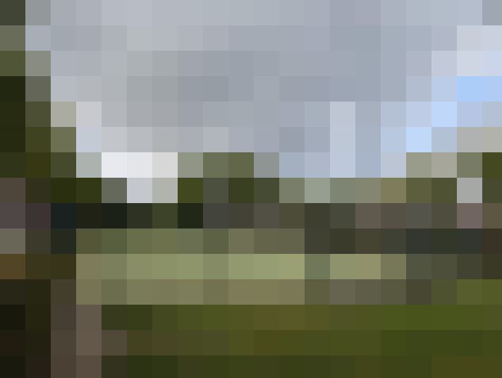 Image 54