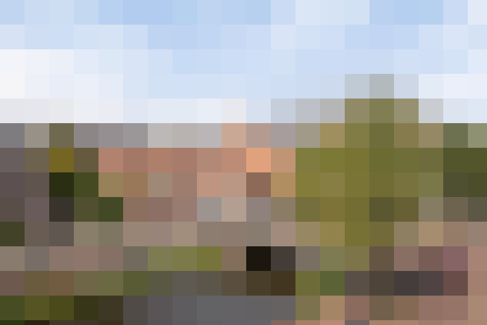 Image 22