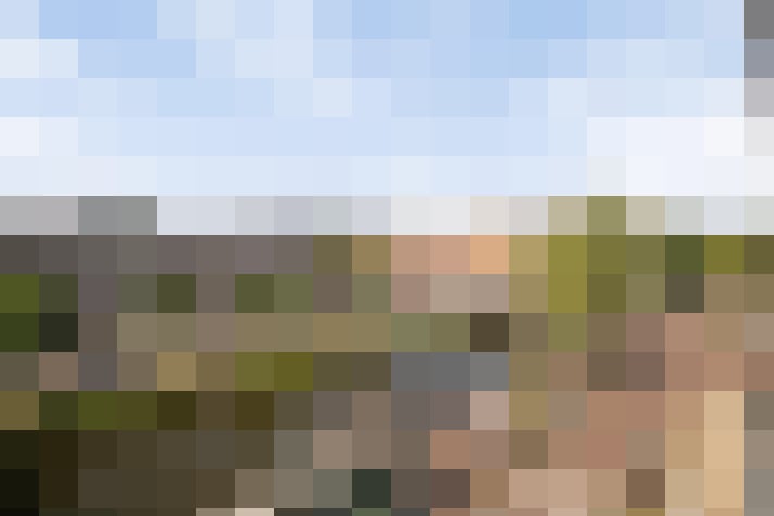 Image 23