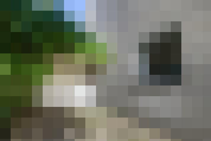 Image 23