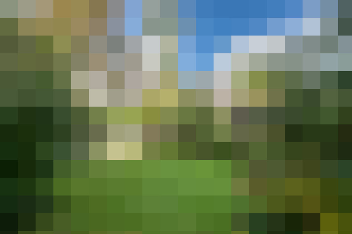 Image 22