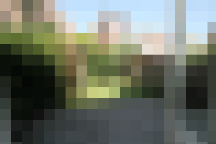 Image 16