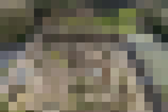 Image 26