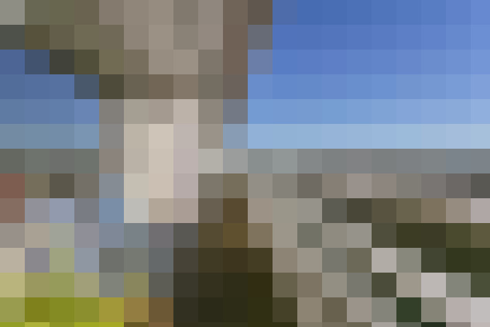 Image 25