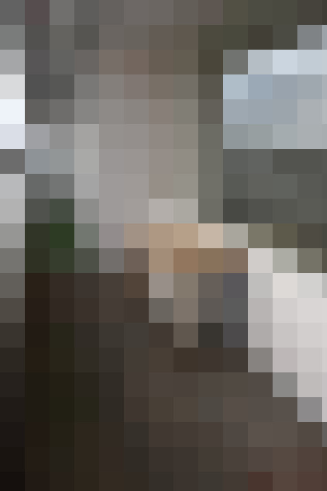 Image 23