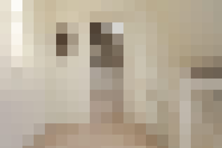 Image 20