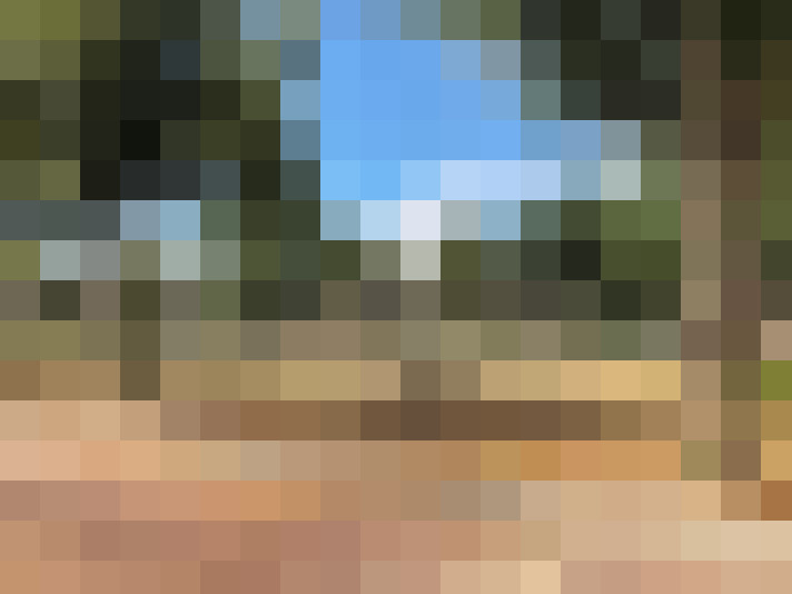 Image 25
