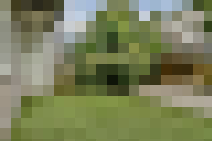 Image 33