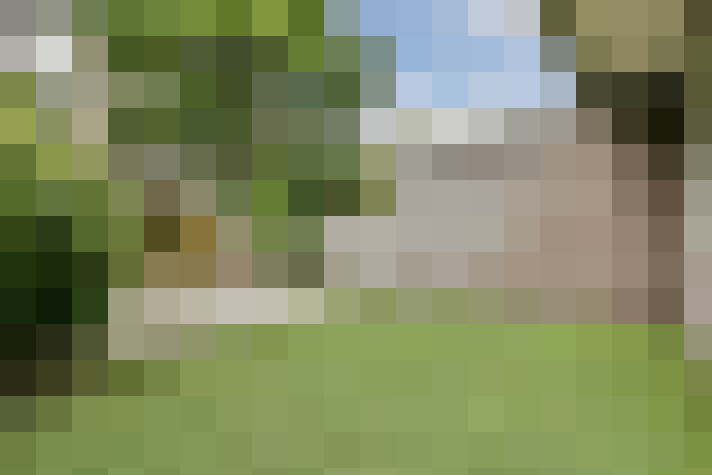Image 32