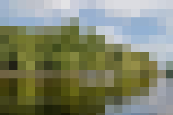 Image 44