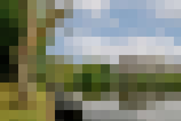 Image 42