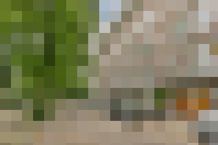 Image 20