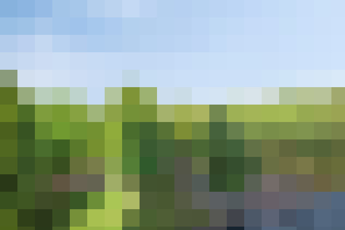 Image 23