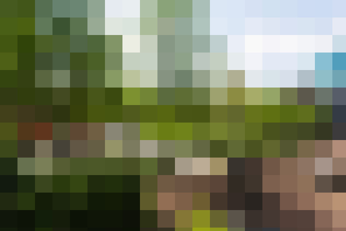Image 24