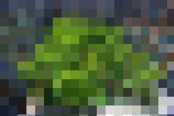 Image 23