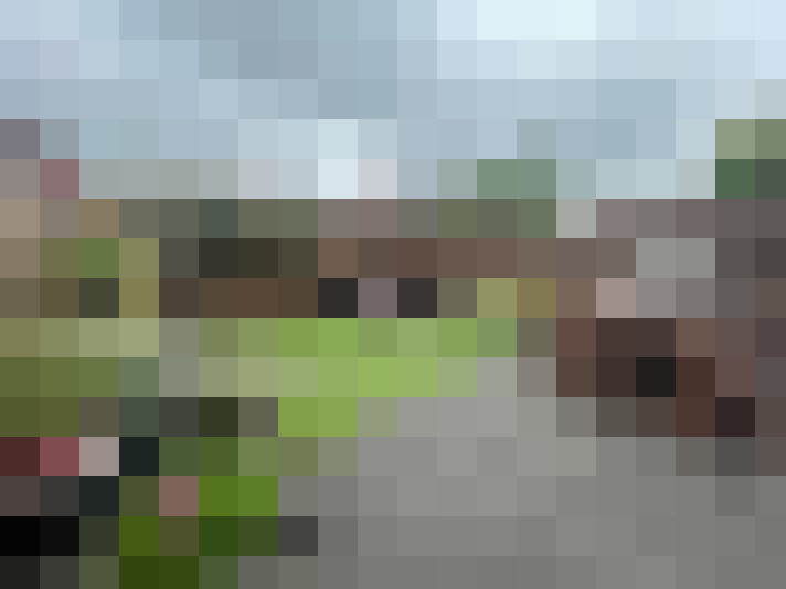 Image 35