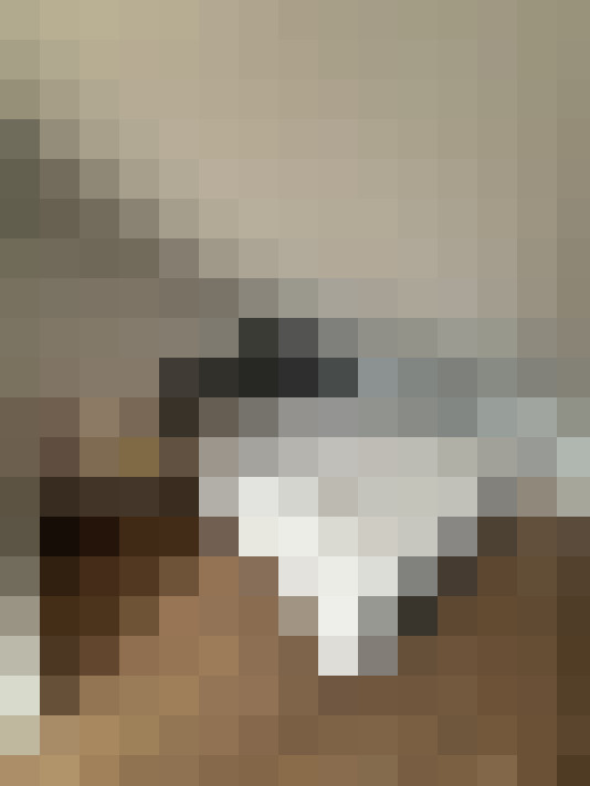 Image 20