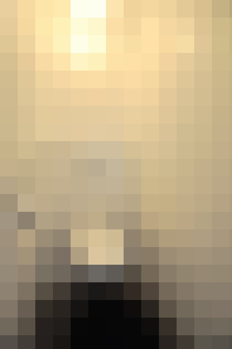Image 29