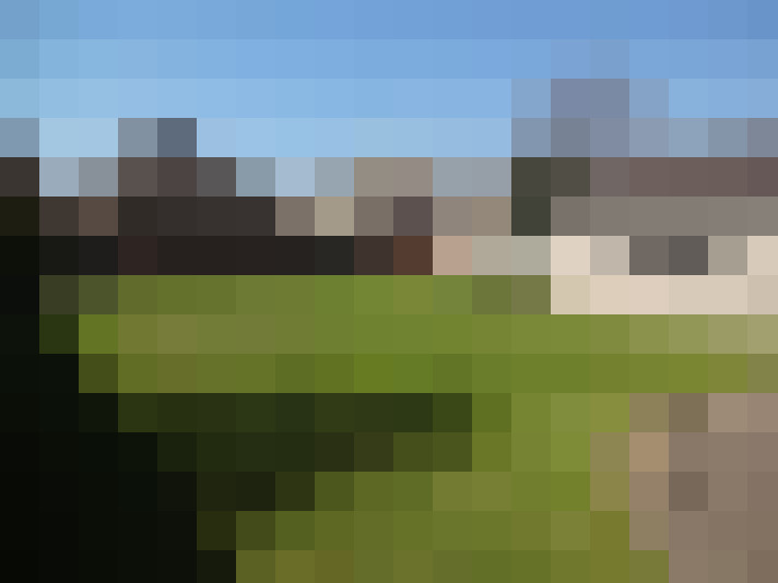 Image 31