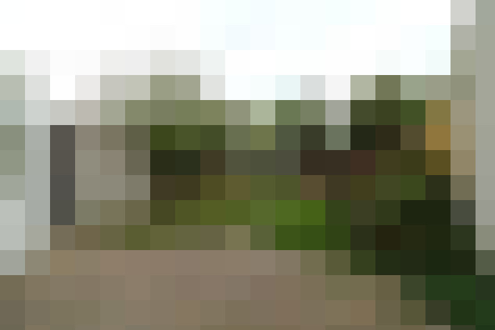 Image 25