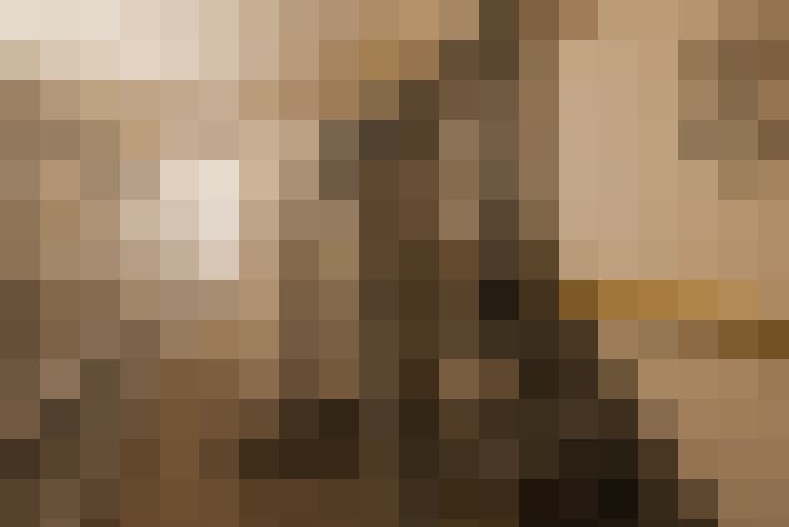 Image 29