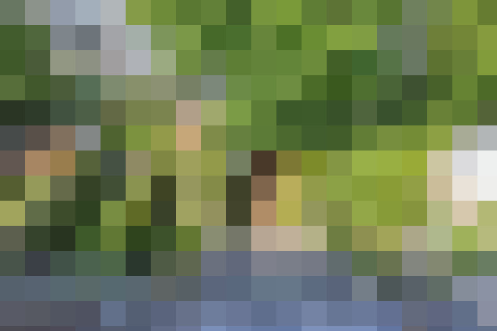 Image 33