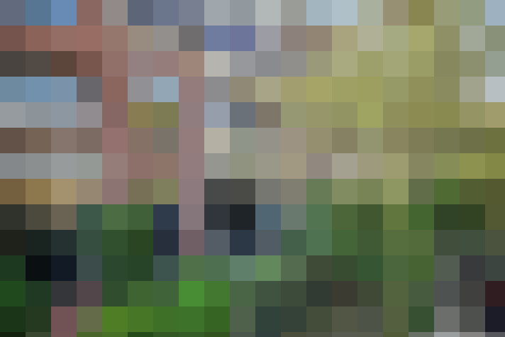 Image 40