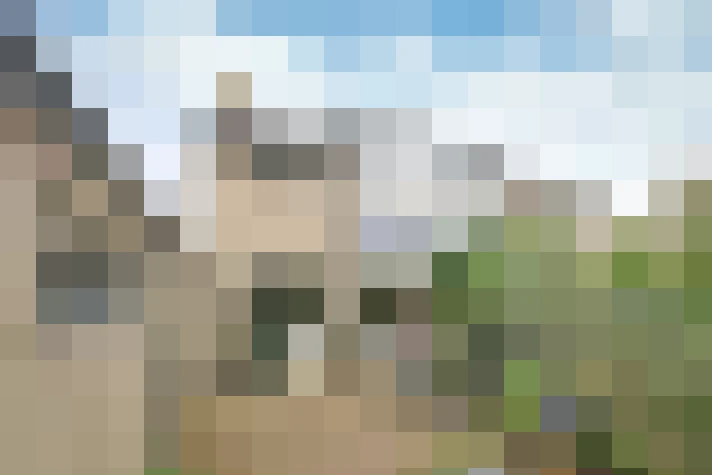 Image 13