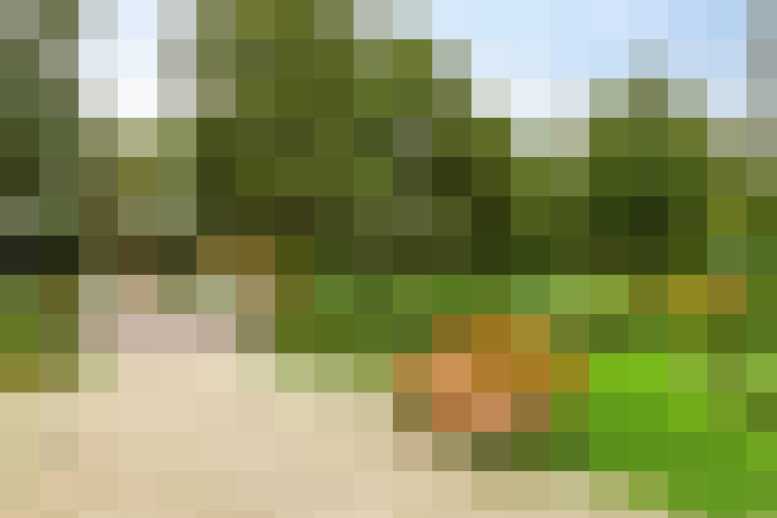 Image 27