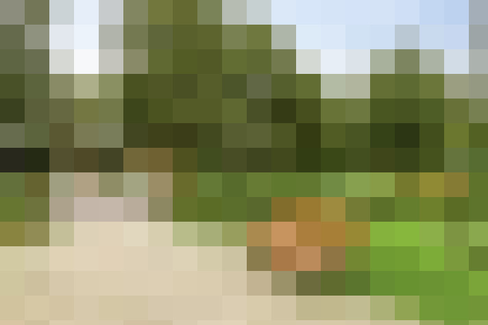 Image 27