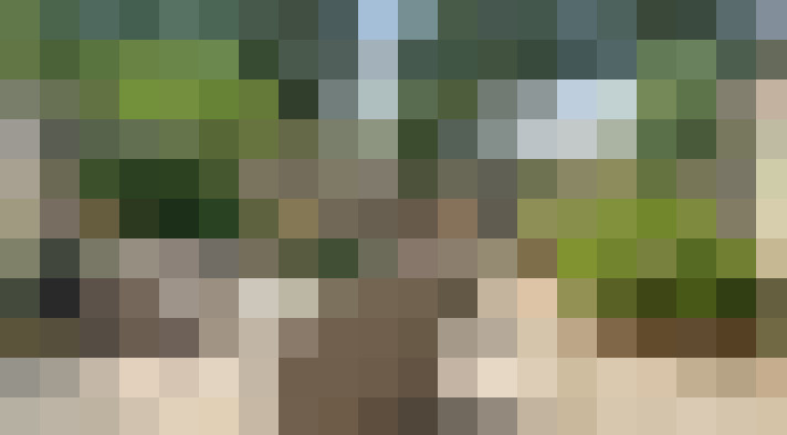 Image 17