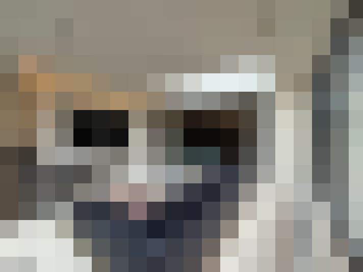 Image 15