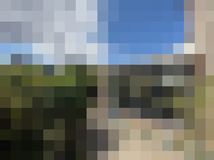 Image 81
