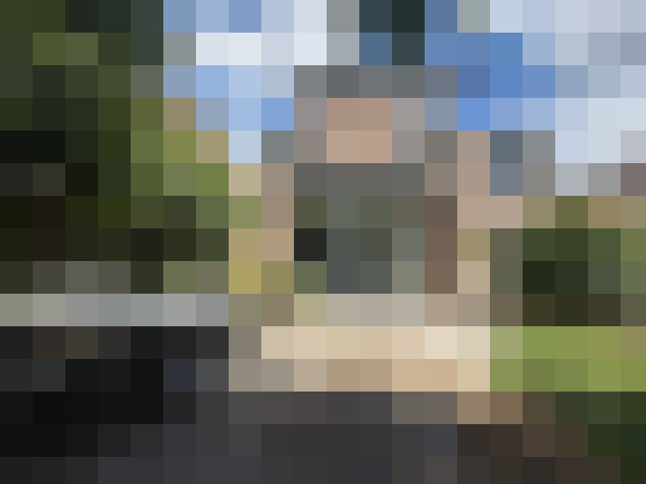 Image 32