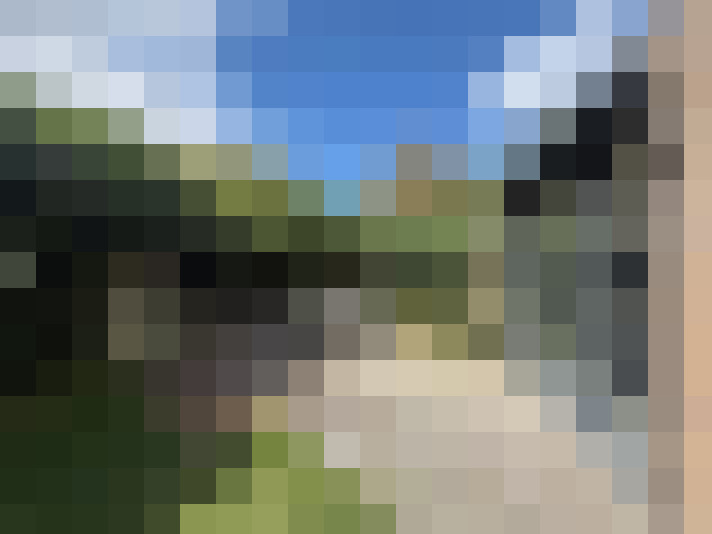 Image 28