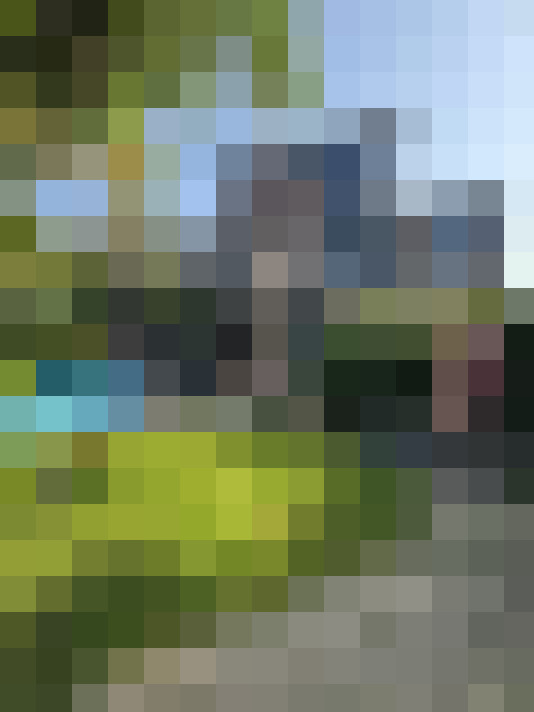 Image 31