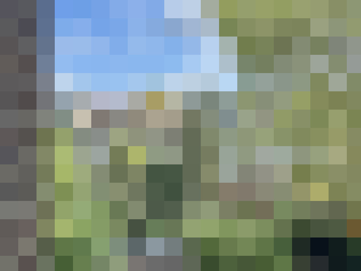 Image 15