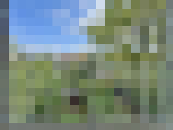 Image 14
