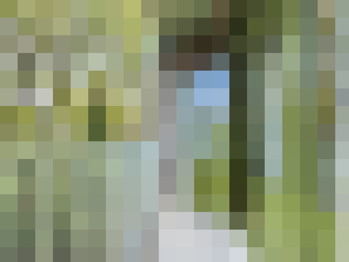 Image 13