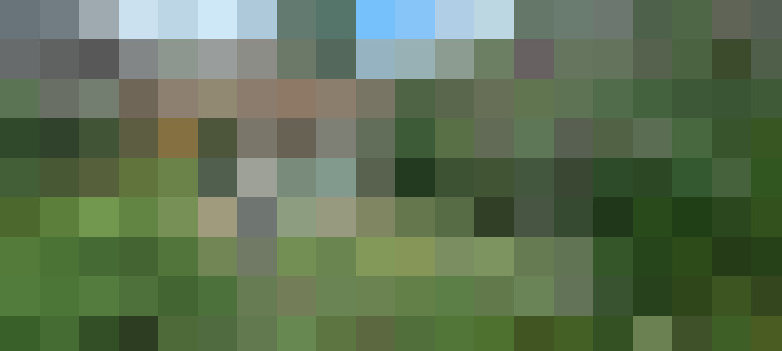 Image 17