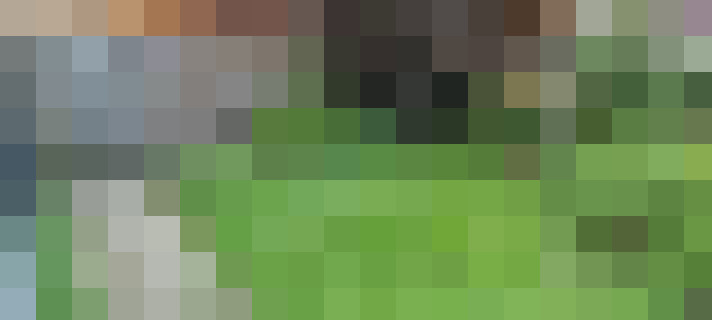 Image 18