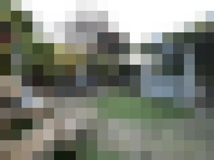 Image 20