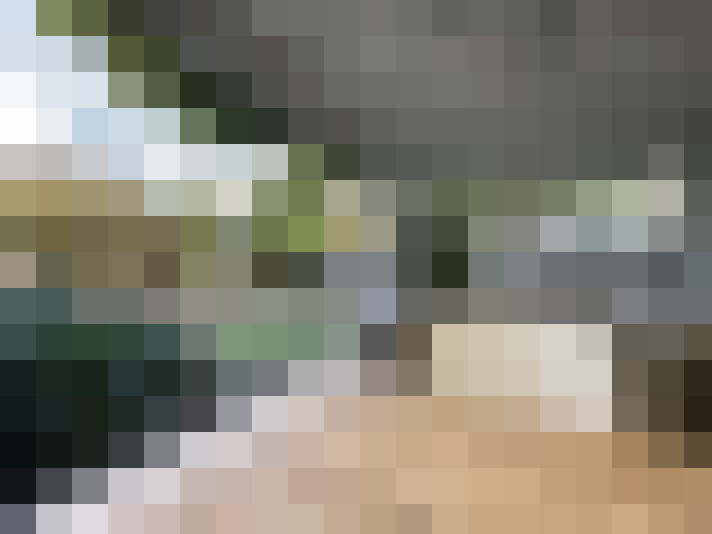 Image 24