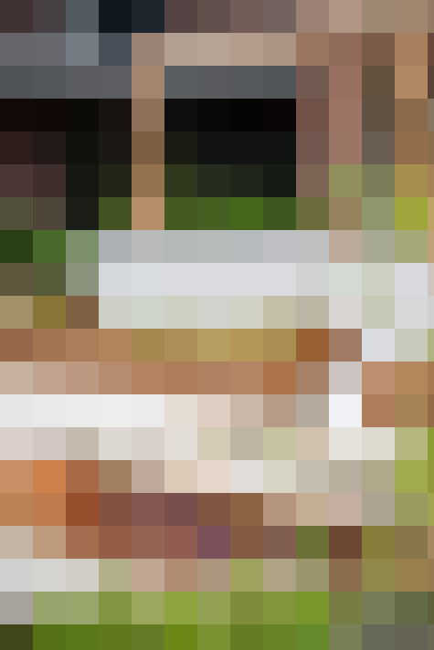 Image 22
